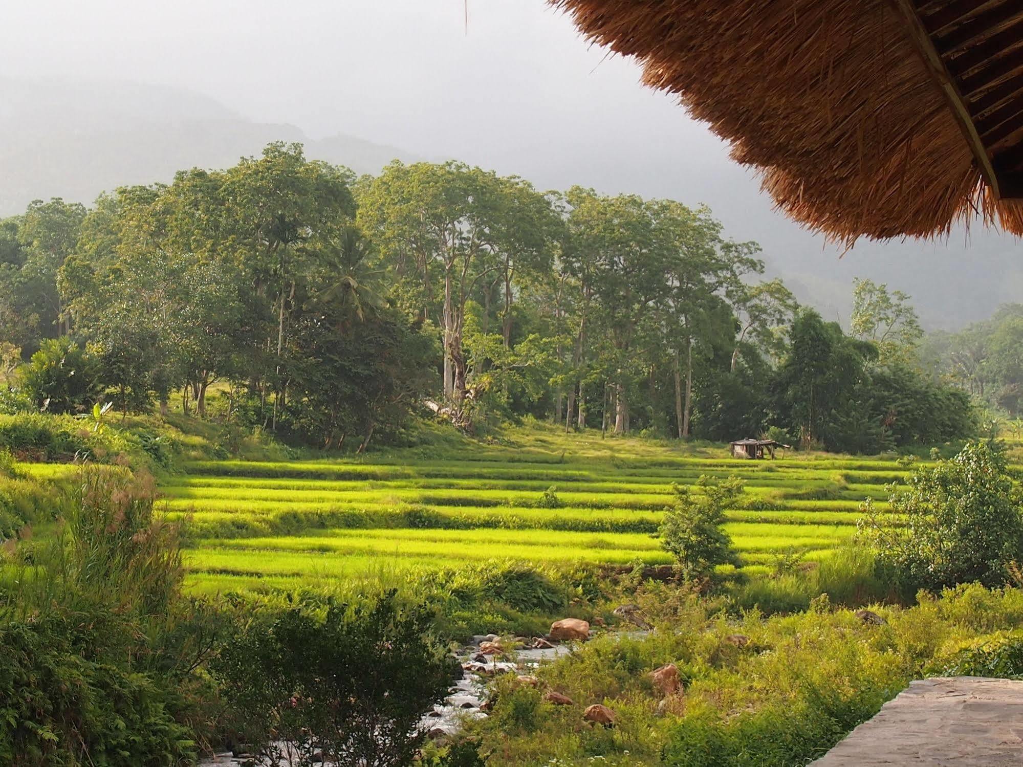 Kelimutu Crater Lakes Ecolodge Desa Kowanara Eksteriør billede